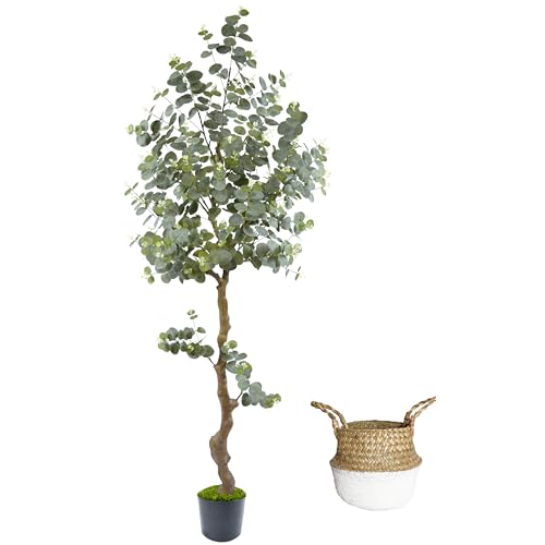 Artificial Eucalyptus Tree 6ft, Faux Plant with Basket, Fake Eucalyptus Trees with White Silver Dollar Leaves, Faux Potted Plants for Home Office Decor Indoor Outdoor - color: Eucalyptus, size: 6ft