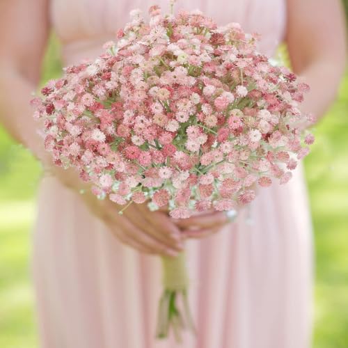 Pink Babys Breath Artificial Pink Flowers Artificial Babys Breath Small Baby Breath Flower Artificial for DIY Floral Arrangements Wedding Bridal Bouquet Indoor Party Home Decor
