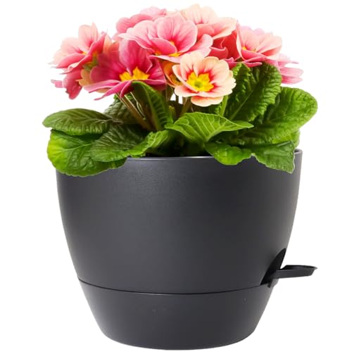 Meowell 12 inch Large Self Watering Pots for Indoor Outdoor Plants, Flower Plant Pots with Mesh Drainage Holes for Garden House, Plastic Planters with Reservoir for Home Decor, Black - color: Black, size: 12inch B