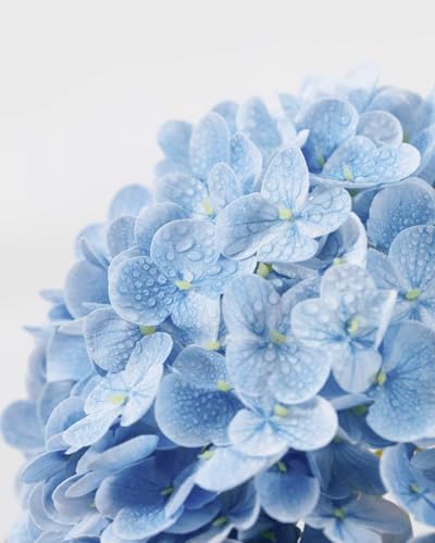 DuHouse 3Pcs Large Hydrangea Artificial Flowers,Latex Real Touch Hydrangeas Lifelike Hydrangea Flower for Home Wedding Bouquets Centerpieces Party Living Room Decoration(Blue) - color: Blue, size: 3pcs