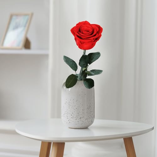 Childom Mothers Day Rose Gifts for Mom,Birthday Gifts for Women,Mothers Day Flowers Gifts for Mom from Daughter Son,Preserved Red Rose Flower Gift for Her,Wife,Grandma,Women,Christmas,Anniversary - color: Preserved Red Rose