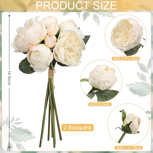 Silk Flower Peony Bouquets - 2 Pack Artificial Peonies with Stems Vintage Look Real Peonies Flowers for DIY Crafts Flower Arrangements Wedding Centerpiece Table Decor - Champagne