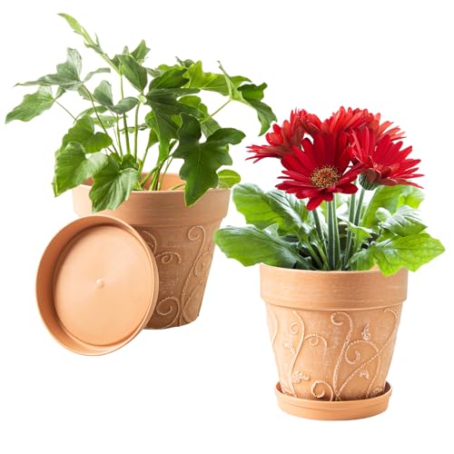 Melphoe Plant Pots Indoor with Drainage & Saucer, 2Pack 8 inch Flower Pots Outdoor Planters for Indoor Plants Garden Home Decor Cactus Succulent, Rigid Plastic (Imitation-Terracotta) Vine-Embossed - color: Terracotta Color, size: 8''