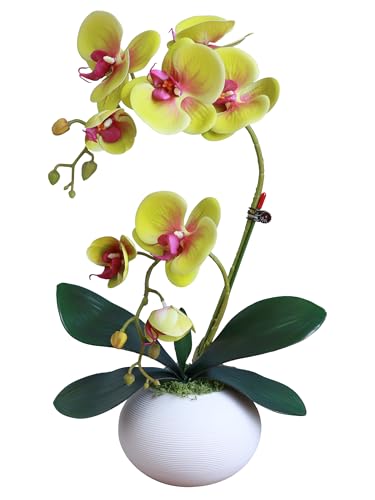 Forlaoers 17" Green Artificial Flowers Artificial Orchids That Look Real with Pot Fake Orchid in Vase for Table Centerpieces Indoor Home Decor Office Bathroom Decoration - color: A9:green Orchid With Vase