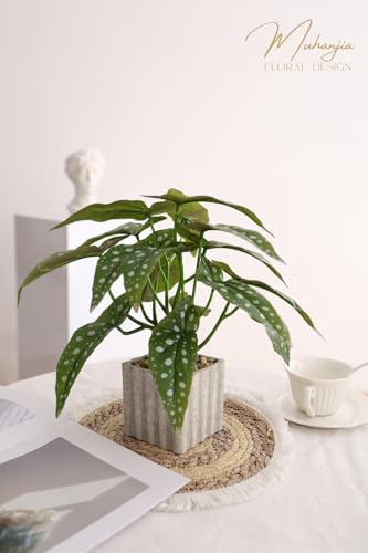 Muhanjia Artificial Potted Plant, Lifelike Faux Greenery in Decorative Cement-Look Square Pot for Indoor Home Decor Centerpieces (Polka Dot Begonia) - color: Polka Dot Begonia