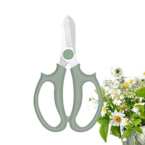 Leize Flower Scissors, Premium Thickened Stainless Steel Floral Shears, Strong Pruner for Flowers, Branches and Leaves (Grey Green) - color: Grey Green