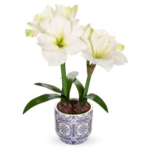 Briful Amaryllis Artificial Flowers in Blue Ceramic Pot 18.1" Faux White Amaryllis Flower Arrangement with Decorative Bulbs Moss Silk Amaryllis Plant for Home Office Bathroom Table Décor - color: White, size: Blue and White Ceramic Pot