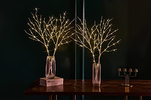 Fudios Lighted Branches with Timer Battery Operated 30IN Tall Birch Twig Lights for Vase 100 LED Outdoor and Indoor Holiday Winter Decor 2Set - color: White Birch, size: 2 SETS