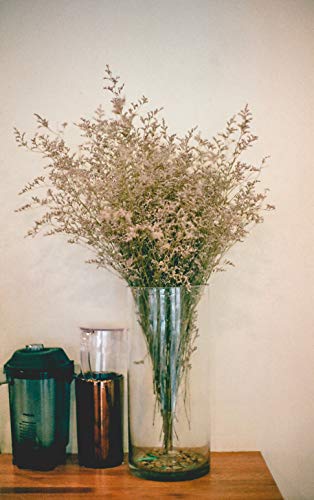 WGV Cylinder Vase, Diameter 5", Height 10", Clear Glass Floral Planter Container, Floating Candle Holder for Wedding Party Event Home Office Decor, 1 Piece - size: 5"x10"H CL