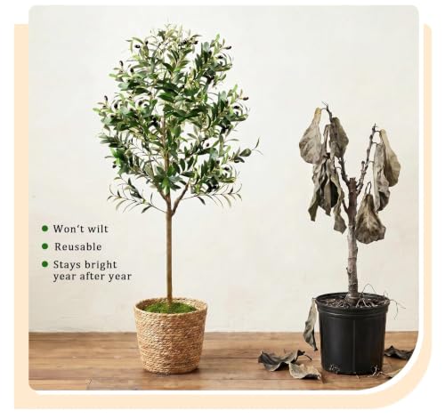 Olive Trees Artificial Indoor, 6FT Faux Olive Tree with Black Planter, Tall Fake Tree with Artificial Moss Natural Trunk Realistic Fruits for Home Office Decor Indoor