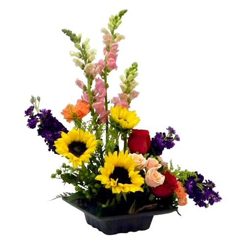Curtis Wagner Plastics FAC-9900 Flower Arrangement Container (5-Pack) Size 5.5" x 5.5 x 2.5| Plastic Box for Floral Arrangement, Small & Large Flowers | Perfect for Weddings, Proms, Centerpiece - style: Arrangement