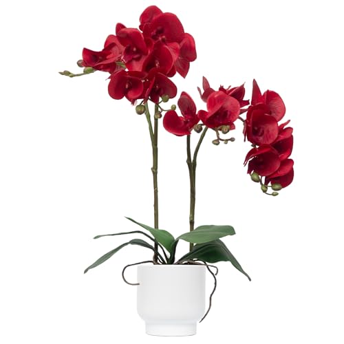 CXGS Orchids Artificial Flowers Real Touch Fake Flowers in Ceramic Pot 20" Red Faux Orchid Plant Lifelike Silk Phalaenopsis for Centerpiece Hotel Home Indoor Decor - color: Red- White Vase