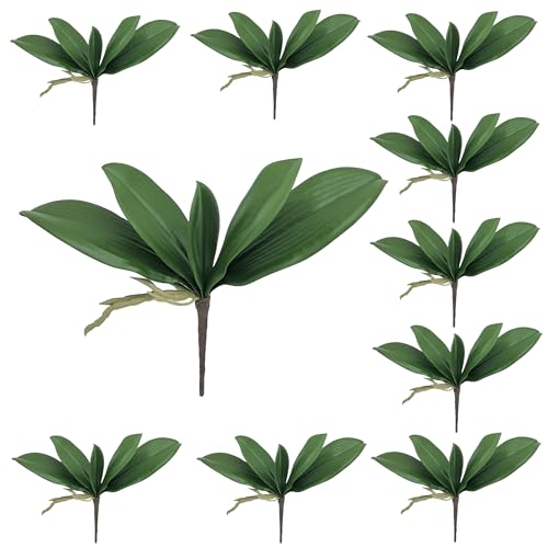 M2cbridge Artificial Green Orchid Leaves Phalaenopsis Stems Real Touch for Flowers Arrangements Pot Decor (9",10pcs) - color: 9",10pcs