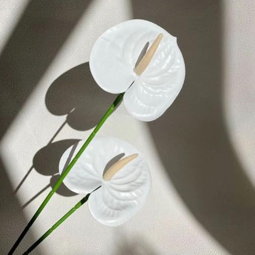 Corkwaw 8 Pcs 23-5/8 inch Artificial Anthurium Flowers Real Touch Fake Flower for Table Centerpieces Arrangement and Bridal Wedding Festival Decor Flower Arrangement (White) - color: White