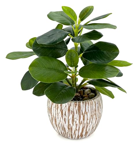 Artificial Potted Plants Life-Like Fake Plant with Farmhouse-Style Cement Planter Feturing Light Wood Tone for Room Bathroom Bedroom Kitchen Office Dese Coffee Table Décor (9inch) - size: Ficus 9inch