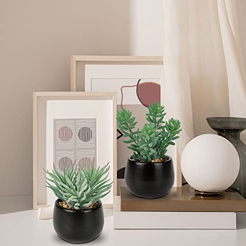 Briful 3PCS Artificial Succulents Fake Plants Mini Succulents Potted in Black Ceramic Pots Artificial Plastic Plants for Home Office Desk Farmhouse Bathroom Décor - color: Type #3