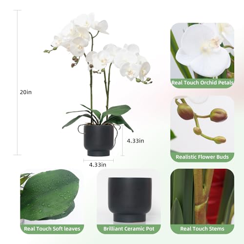 CXGS Orchids Artificial Flowers Real Touch Fake Flowers in Ceramic Pot 20" White Faux Orchid Plant Lifelike Silk Phalaenopsis for Centerpiece Hotel Home Indoor Decor - color: White- Black Vase