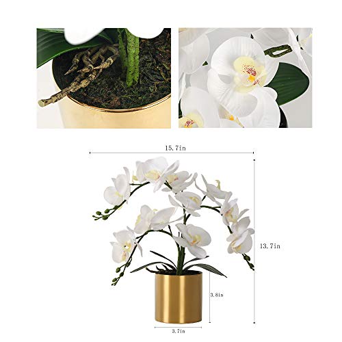 LESING Potted Artificial Orchid Flowers,Real Touch White Fake Artificial Orchid Flower in Gold Vase Arrangement for Table Living Room Decoration (White,Gold Vase) - color: White,gold Vase