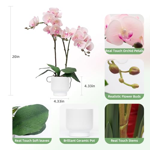 CXGS Orchids Artificial Flowers Real Touch Fake Flowers in Ceramic Pot 20" Pink Faux Orchid Plant Lifelike Silk Phalaenopsis for Centerpiece Hotel Home Indoor Decor - color: Pink- White Vase
