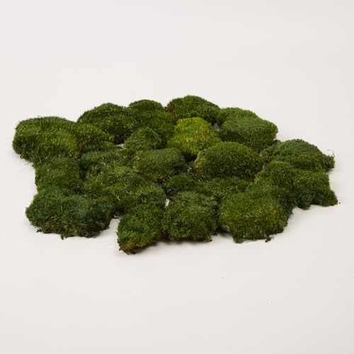 Preserved Pole Moss Pillow Bun Cushion Natural Decorative Real Natural Green DIY Kit Gardenning Art Wall Decor Florist Decor Easter Table Decor Wedding(1.5 sq.ft, Green-A) - color: Green-a, size: 1.5 sq.ft.