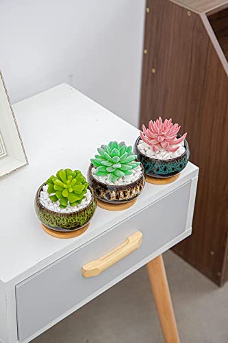 Cute Ceramic Succulent Garden Pots, Planter with Drainage and Attached Saucer, Set of 5 -Plants Not Included (Round) - color: Round