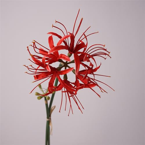 6 Sets 67 CM Lycoris Radiata Artificial Spider Lily Flowers Stonegarlic Clusteramaryllis for Home Garden Wedding Party Decor (Red) - color: Red