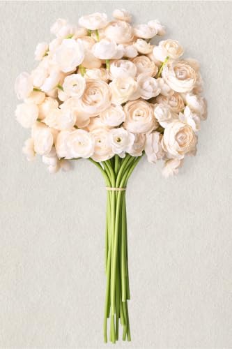 Waipfaru Ranunculus Artificial Flowers, 18Pcs 14In Fake Peonies Artificial Flowers, Faux Flower for Vase Silk Flower Real Touch Faux Peony Bulk for DIY Wedding Bouquet Home Bridal Shower Decor - color: Champagne, size: 18Pcs