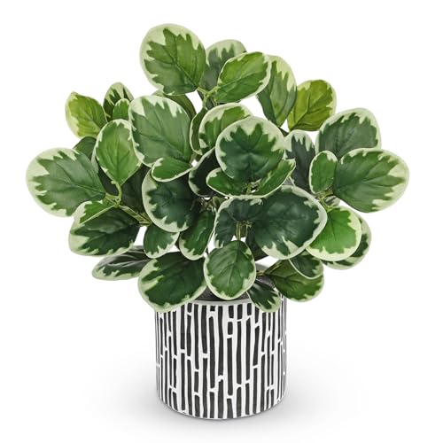 13" Artificial Plants Indoor Small Fake Plant in Ceramic Pot, Silk Plants for Home Decor Indoor, Faux Potted Plant for Shelves, Desks, Home, Room, Office, Bedroom, Farmhouse, Entryway, Tabletop Decor - color: #Green #3