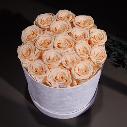 Prifroti 17 Flowers in a Luxury Suede Box, Birthday Gifts for Women, Preserved Flowers, Mothers Day Roses Gift for Mom, Champagne - color: Champagne, size: 17 Roses