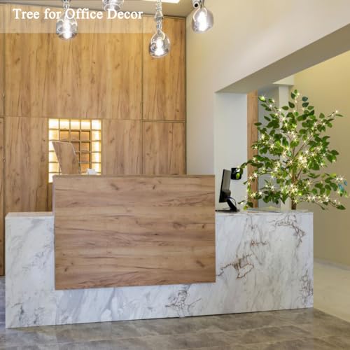 Hairui Artificial Ficus Silk Tree Lights 6FT 264 LED Fairy Lights, Faux Plant Tree with Lights for Home Room Spring Summer Christmas Decoration Indoor - style: 6FT Ficus Silk Tree