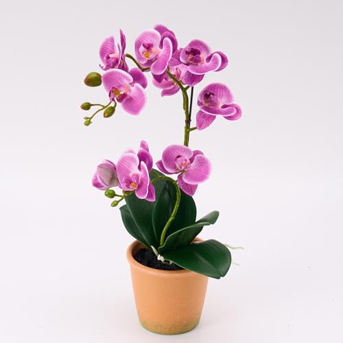 Avoeco Artificial Real Touch Orchid Plant – 15" Faux Phalaenopsis in Pot – Highly Realistic Silk Orchid Flower & Leaf Texture for Home, Office,Shop & Wedding Décor (Fuchsia, 15“) - color: Fuchsia, size: 15“