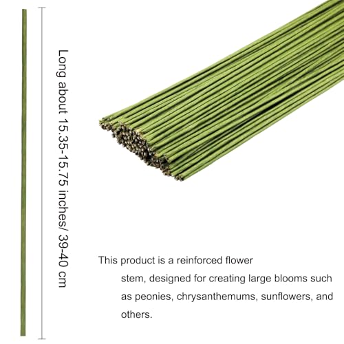 50 PCS Floral Wire 2 Gauge Green Floral Paper Wrapped Wire 16 inch/40cm Crafts Florist Stems for Flower Arrangement Supplies Crafts Bouquet Stem Wreath Making (Diameter 2mm) - color: 50 pcs 2Gauge Paper Wrapped Wire 40cm