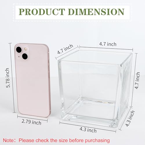 1 Pack Square Glass Vase 5" x 5" x 5", Clear Flower Vase for Centerpieces, Candle Holder for Wedding Party Events, Home Décor - size: 5inch