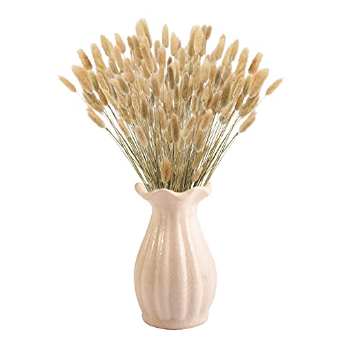Uieke 17'' Natural Bunny Tails Dried Flowers, 120 Pcs Dried Lagurus Ovatus, Dried Brown Pampas Grass Decor for Farmhouse Flower Arrangements Wedding Home Boho Party Decorations - color: Brown-120pcs