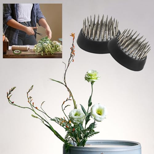 9pcs Jianshan Stainless Steel Pins Flower Arranger 1.33inch/34mm Plastic 1inch Flower Frogs Holder Fixed Flower Pin Holder Tool for Flower Arrangement Plant Fixing Plant Decoration - size: 9PCS-D34 Stainless Steel Pins