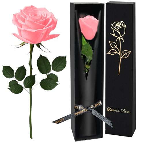 Pink Single Forever Roses Luxury Gift for Women/Men, Fresh Flowers Bouquet for Girlfriend, Wife, Mom, Anniversary, Valentine's Day, Wedding, Graduation, Christmas, Birthday, Unique Presents for Her - color: Pink