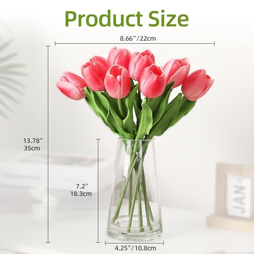 10 Pcs Artificial Tulips with Glass Vase, Real Touch PU Fake Tulip Stems for Easter, Spring, Wedding Bouquet, Home Centerpiece Floral Arrangement, and Table Décor (Magenta Red) - color: Magenta Red, size: Tulip, with Glass Vase