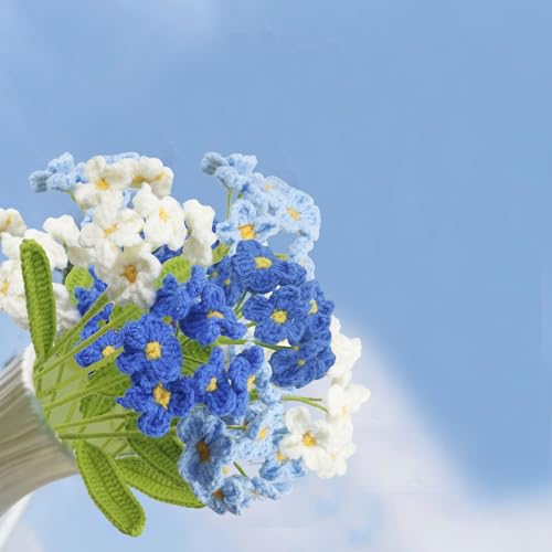 6 Pcs Crochet Flowers Bulk Forget Me Not Crochet Flower Gifts Blue Handmade Crocheted Flowers Bouquet DIY Home Decor for Mother's Day Birthday Wedding Women Moms Wives Friends - color: Forget Me Not-blue