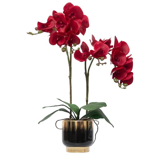 CXGS Orchids Artificial Flowers Real Touch Fake Flowers in Ceramic Pot 20" Red Faux Orchid Plant Lifelike Silk Phalaenopsis for Centerpiece Hotel Home Indoor Decor - color: Red- Blackgold Vase