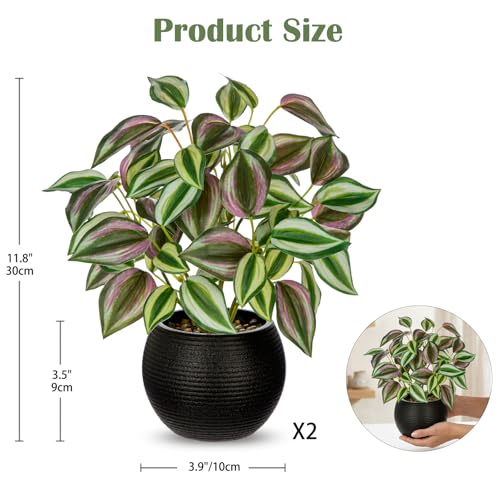 2 Packs Artificial Plants in Black Pot, 12" Faux Plant | Realistic Tradescantia Zebrina Fake Plants Potted Decorative for Home Kitchen Office Desk Bookshelf Decor - color: Purple-green