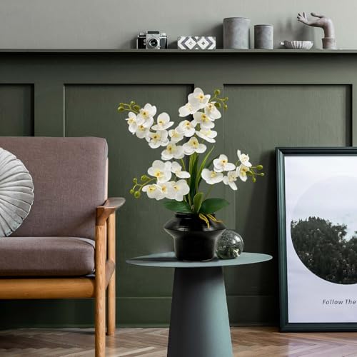 Daily Treasures 24 Heads Artificial Orchid Plant with Black Ceramic Pot, 3D Printed Silk White Faux Orchid Flowers with Buds, Lifelike Butterfly Orchid with Leaves for Modern Home Office Decor