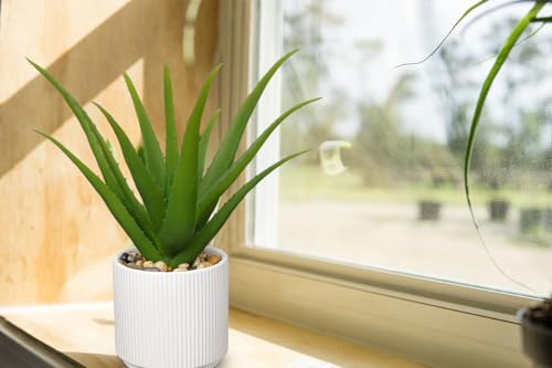 GnFlus Artificial Succulent Aloe Plants 12 Inch Faux Succulents with Ceramic Pot Fake Aloe Potted Plant for Home Indoor Bathroom Table Bedroom Shelf Office Decor - color: Green Aloe-13"