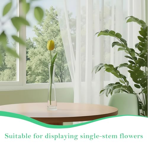20cm/7.9inch Tall Clear Glass Thin Narrow Necked Bud Vase Slim Single Stem Flower Vase Floral Vase Centerpiece for Wedding Party Home Table Decor - size: 20cm/7.9inch