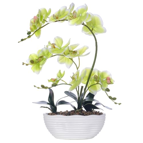 19" H Phalaenopsis Faux Orchid Plant Silk Orchid Centerpiece Artificial Floral Arrangement in Ceramic Pot (Apple Green) - color: Apple Green