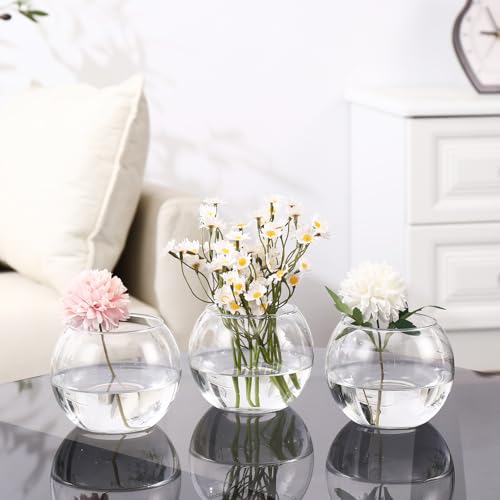 Clear Round Vases Set of 6, Glass Vase for Flowers, Flower Vases for Centerpieces, Glass Bowl Vase for Living Room, Bedroom, Kitchen, Office, Wedding - color: Clear, size: 3“