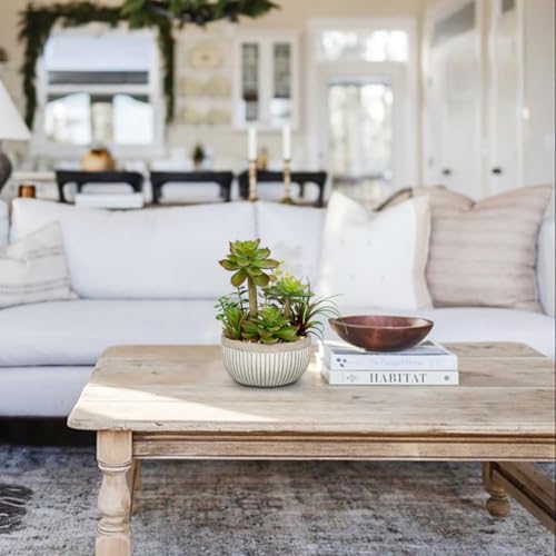 DILATATA Small Faux Plant Assorted Fake Succulents Plants Faux Succulents Arrangement Cement Potted Desk Plants Small Fake Plants for Home Table Office Bathroom Shelf Living Room Decor - color: Grey#01