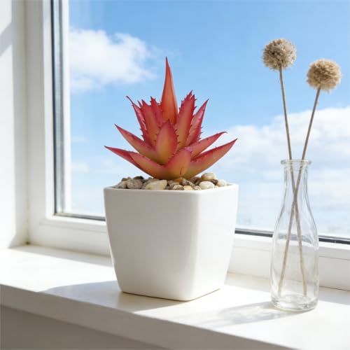Artificial Succulent Plants in Pot - 1Pcs Small Aloe Vera Red Realistic Fake Potted Succulents for Home Decor, Desk, Office, Bathroom, Windowsill - Indoor Houseplant for Bedroom, Kitchen, Shelf - color: Small Aloe Vera Red