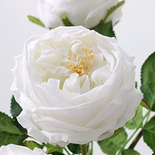 UKELER White Artificial Roses 4 Pcs Real Touch Latex Artificial Flowers Austin Rose Peony with Long Stem for Wedding Bouquet Home Decor Flower Arrangement - color: White