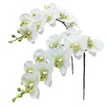 Fnize Faux Orchid Stems Real Touch Artificial Phalaenopsis Flowers Latex Petals 38 Inches 2pcs (Green White) - color: Green White