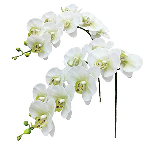 Fnize Faux Orchid Stems Real Touch Artificial Phalaenopsis Flowers Latex Petals 38 Inches 2pcs (Green White) - color: Green White